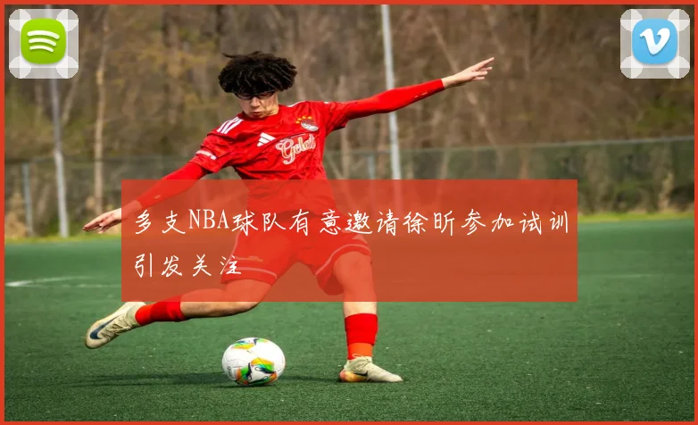 多支NBA球队有意邀请徐昕参加试训引发关注