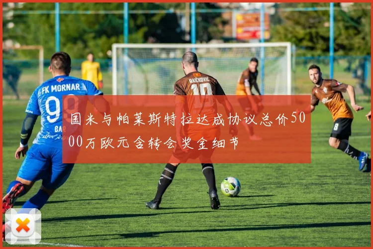国米与帕莱斯特拉达成协议总价5000万欧元含转会奖金细节